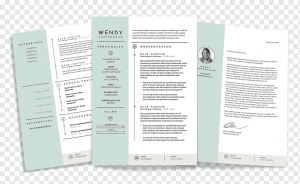 Curriculum